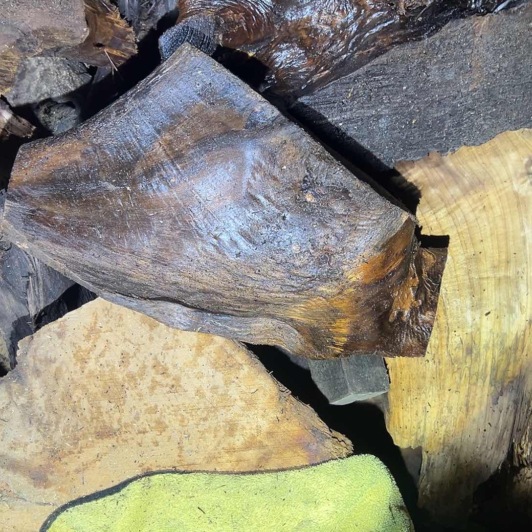 禾***号金丝楠1111111111111111111