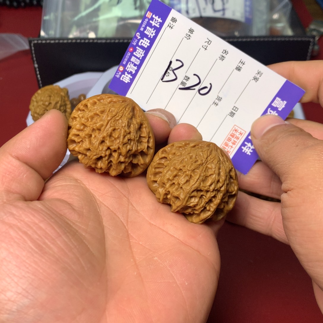 核桃把件虎头王尺寸44狮子毛