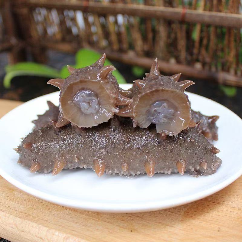 30头大连深海海参现场拍现场挑即食海参软糯Q弹