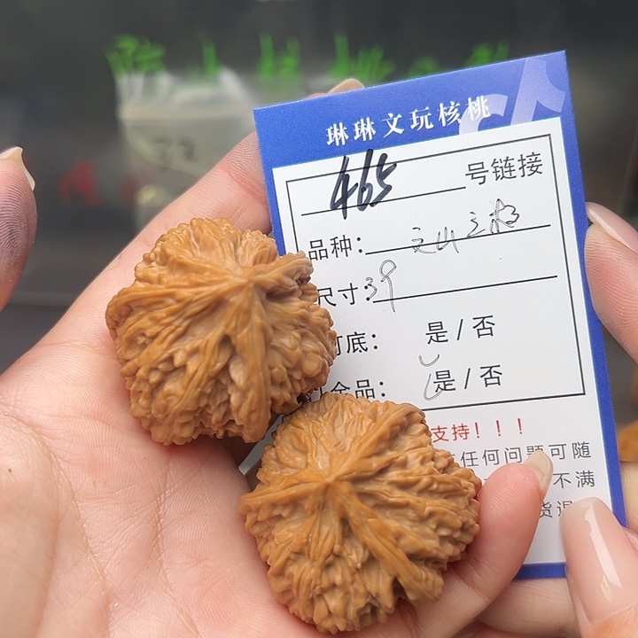 文玩核桃吊坠核桃树465