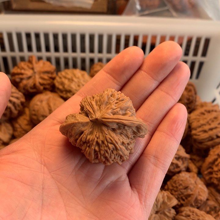 沧***提文玩核桃把件白狮子