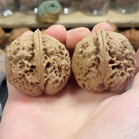 文玩核桃把件铁狮子带彩40+