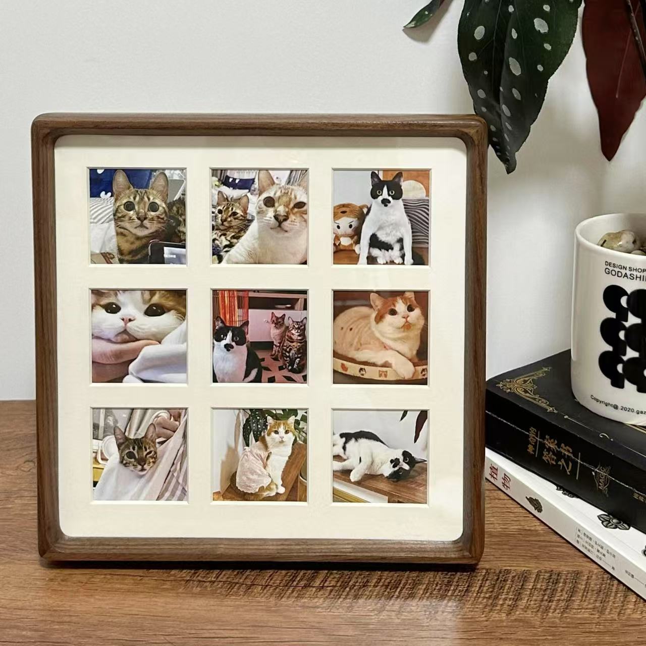 宠物相册，拍下先选