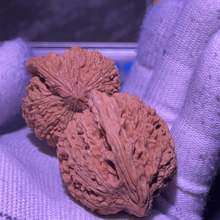 文玩核桃吊坠满天星