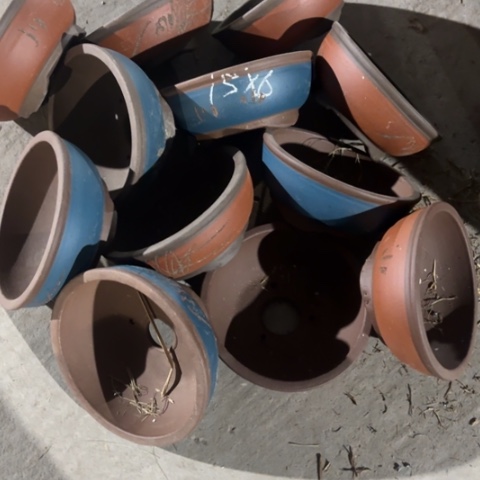 紫砂花盆100-12。100-12