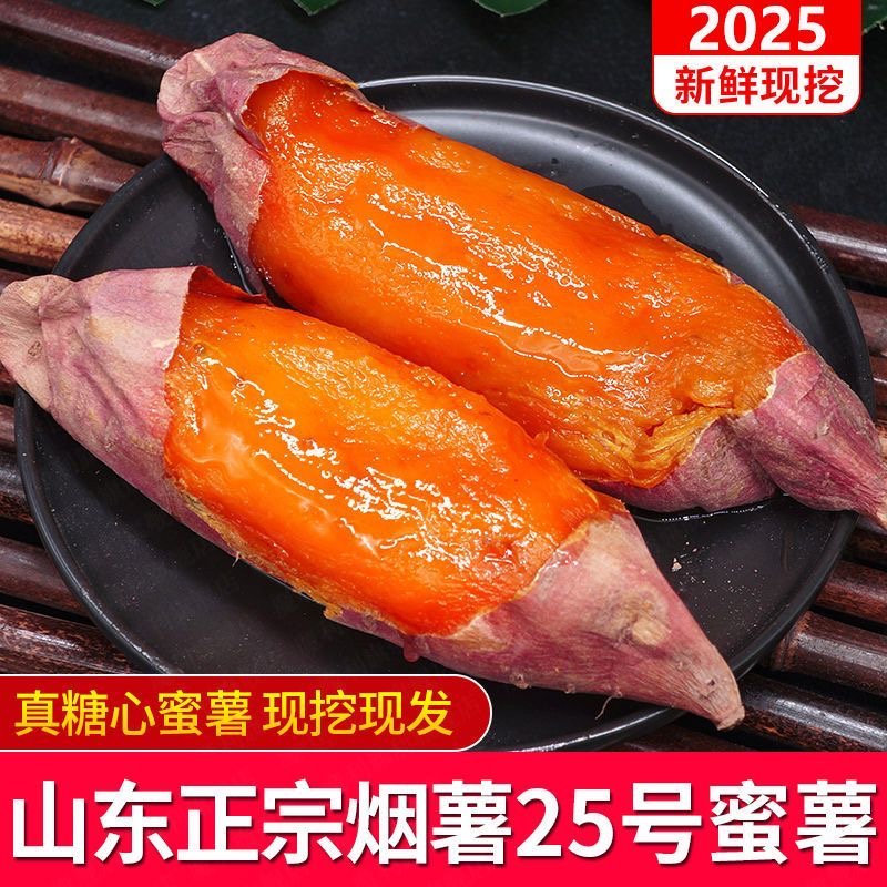 正宗沙地山东烟薯25号红薯烤地瓜糖心流油蜜薯软糯香甜新鲜现挖A