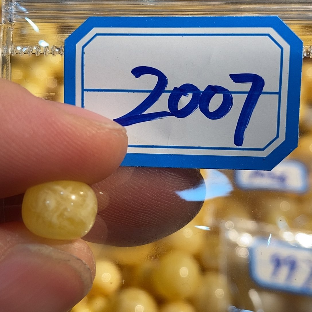 未镶嵌琥珀珠宝奇石2007