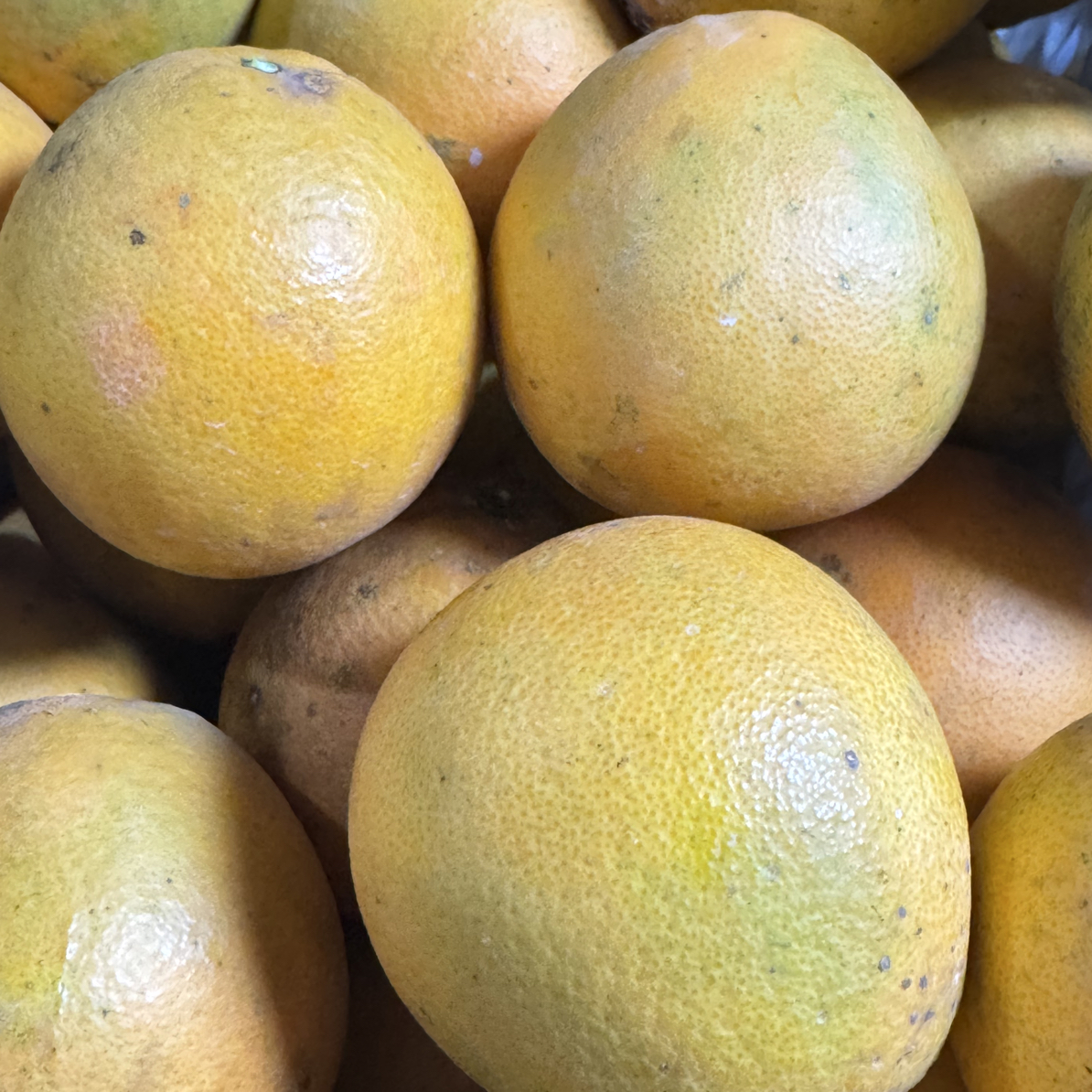 爆款一都本地橙   约4斤（口感纯甜）