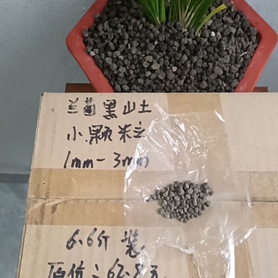 行***油兰菌黑山土小颗粒6.6斤