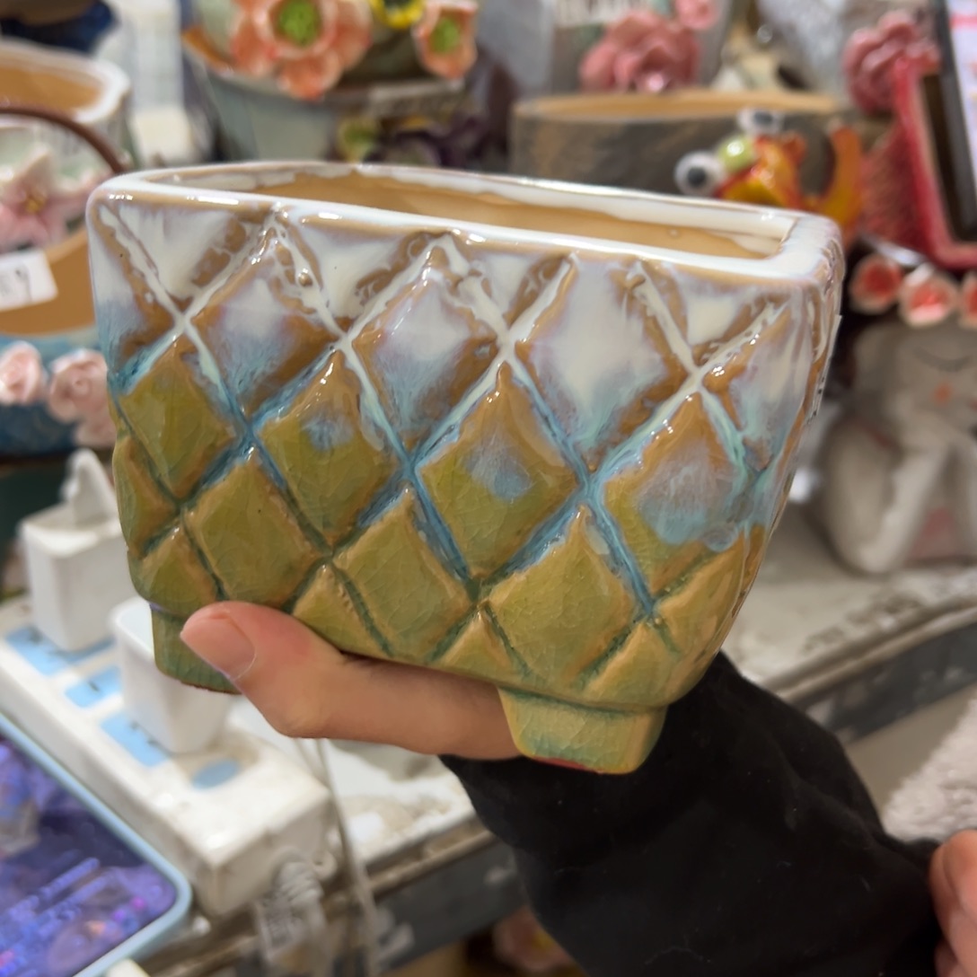 花盆，拍满20发货，退款拉黑