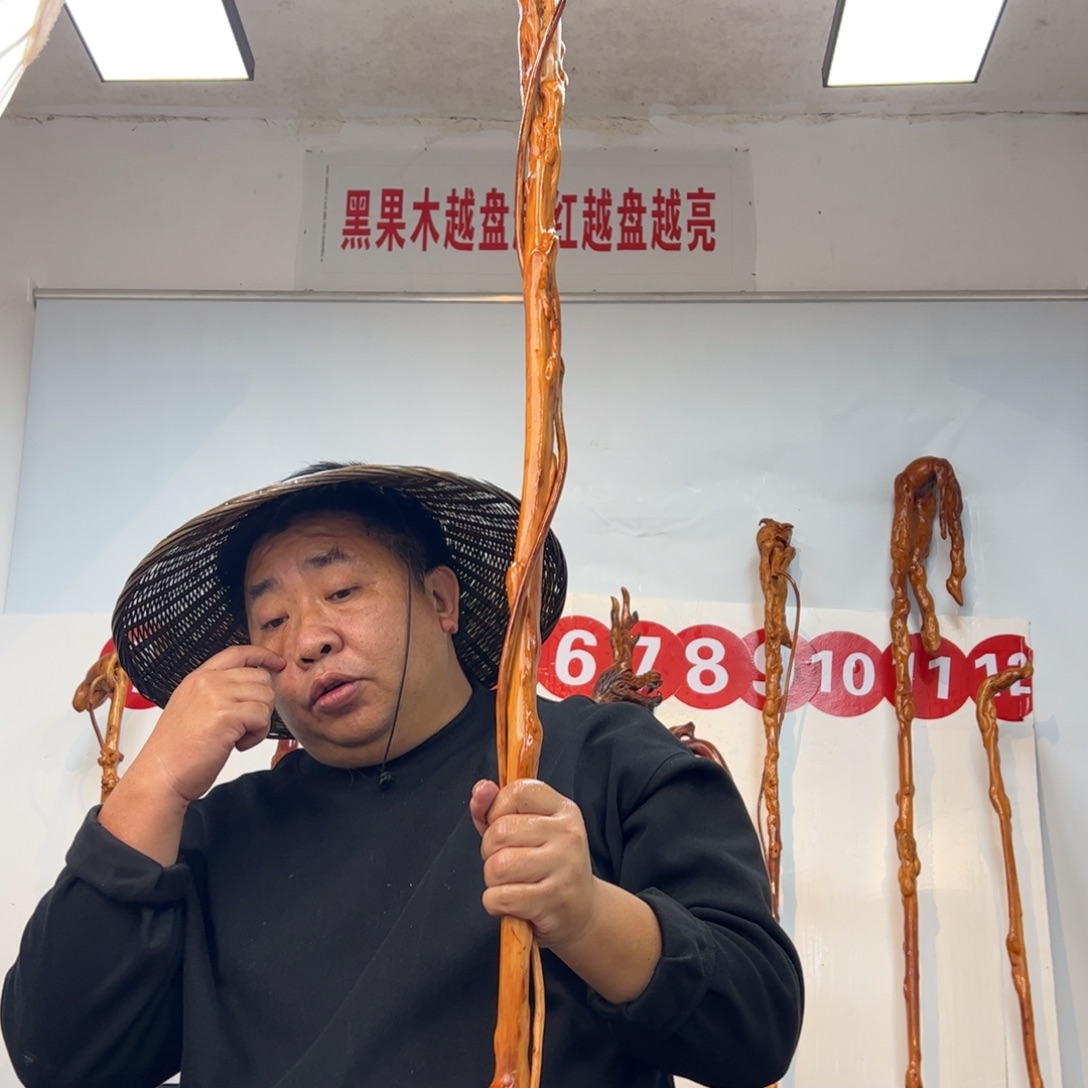 努***安黑果木其他黑果木519