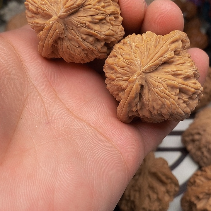 桃核把件芝****春白狮子头