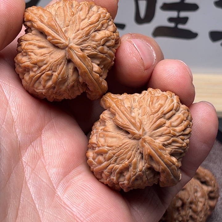 文玩核桃把件白狮子