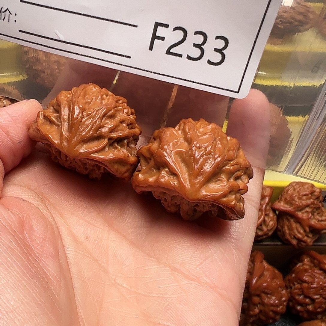 人****蛇王蛇王蛇王蛇王31
