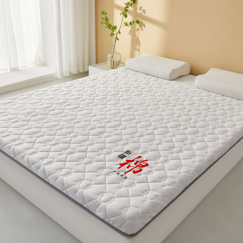 2025新款中国棉花床垫新疆棉软垫子床褥垫榻榻米家用