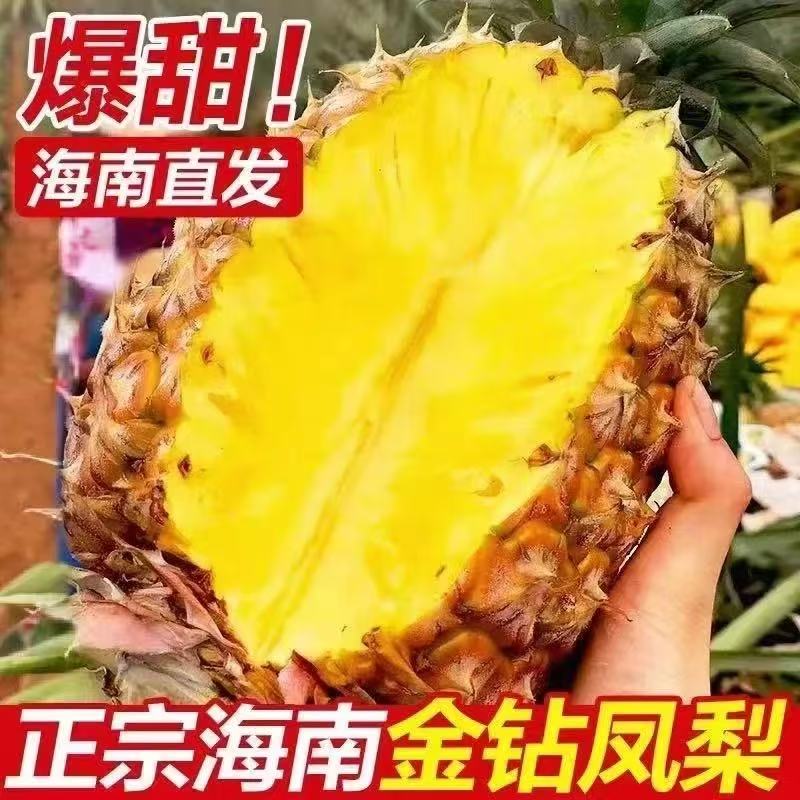 【海南直发】正宗海南金钻凤梨新鲜现摘水果孕妇手撕无眼菠萝大果