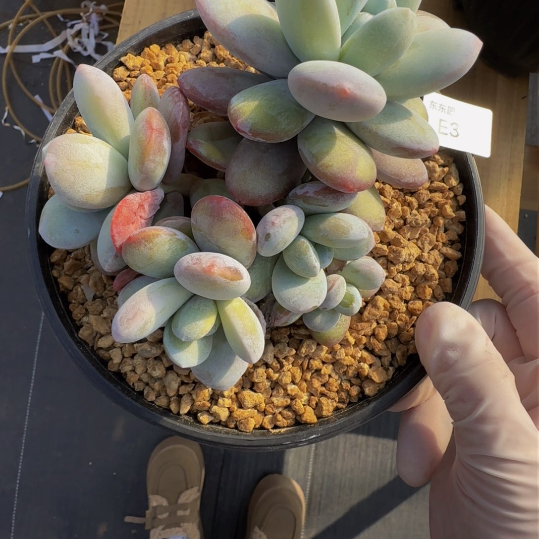 e e e e e e e e e e 39