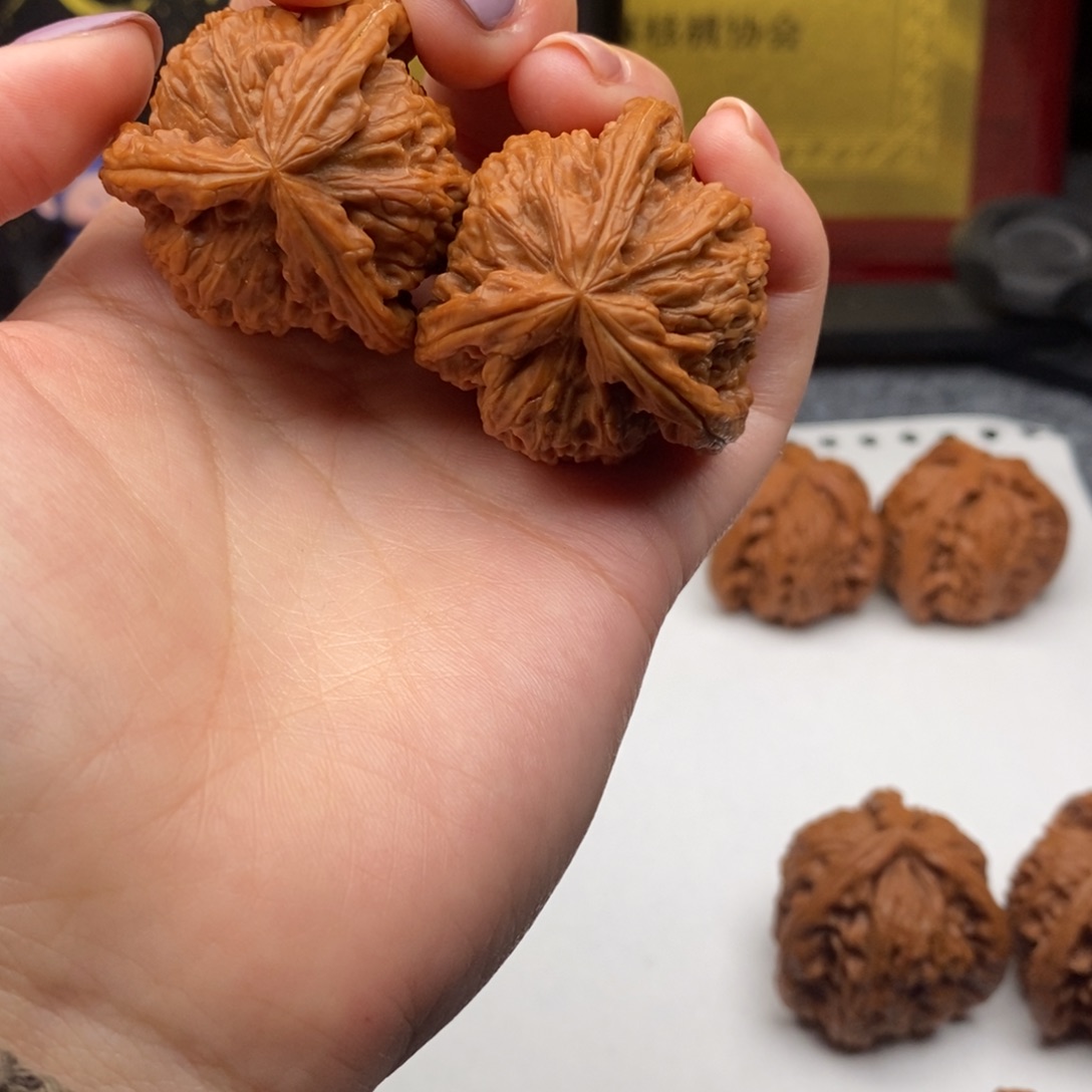 明****店白狮子凄凄切切凄凄切切
