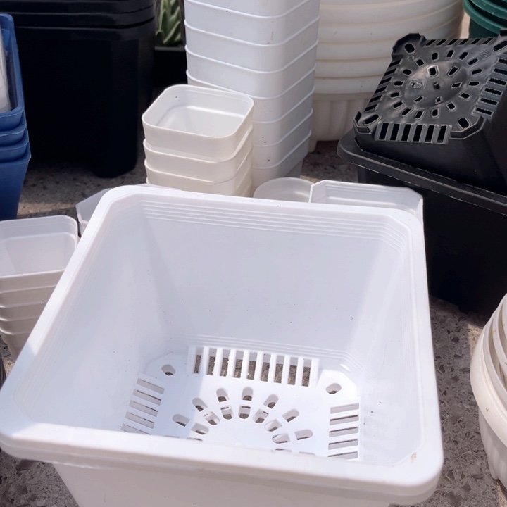 白方口17高12一组20