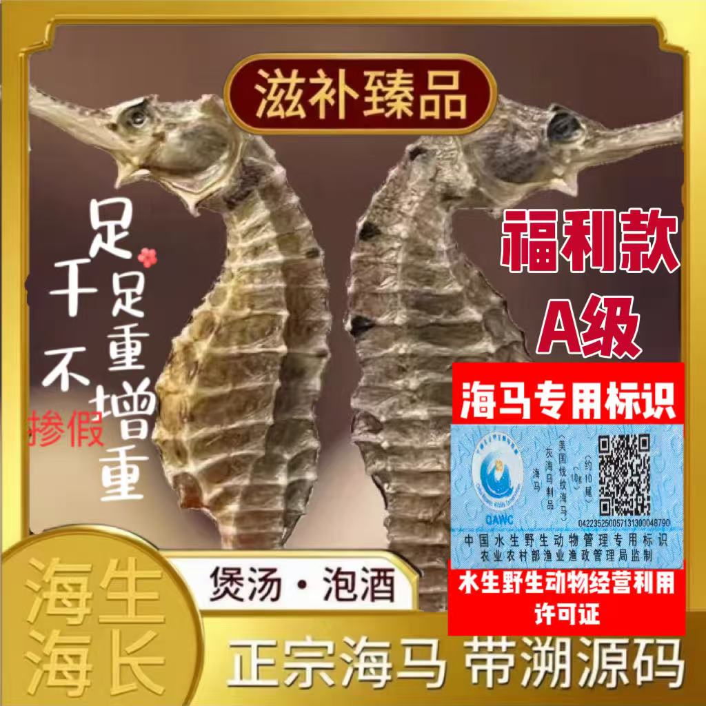 买就送海龙【特大号2-4克一对】海马公母配对带溯源码干货泡酒