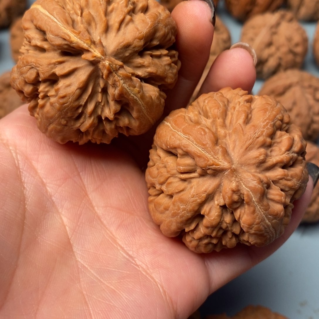 吊坠文玩核桃亮*霸王龙45