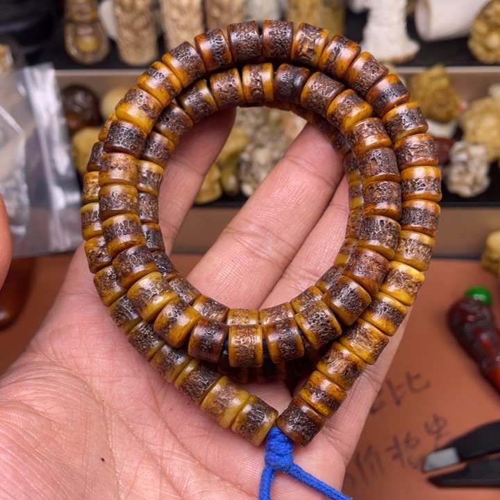 驼骨其他人工养殖