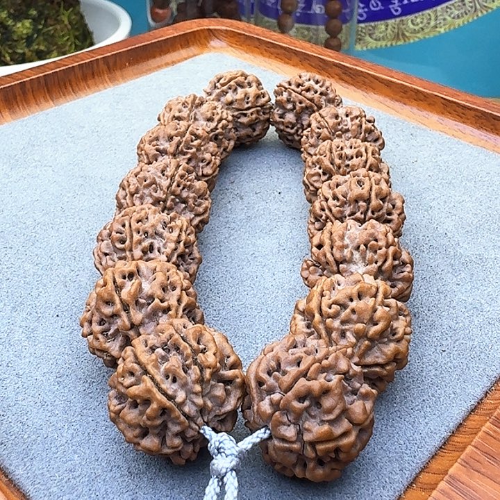 金刚菩提手串六瓣蜂窝双龙