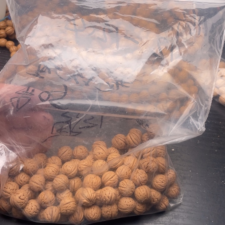 胖***串散籽批发小桃核40