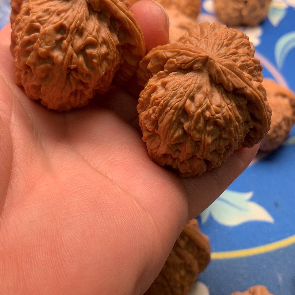 【闪购商品】文玩核桃吊坠春*白狮子三角41