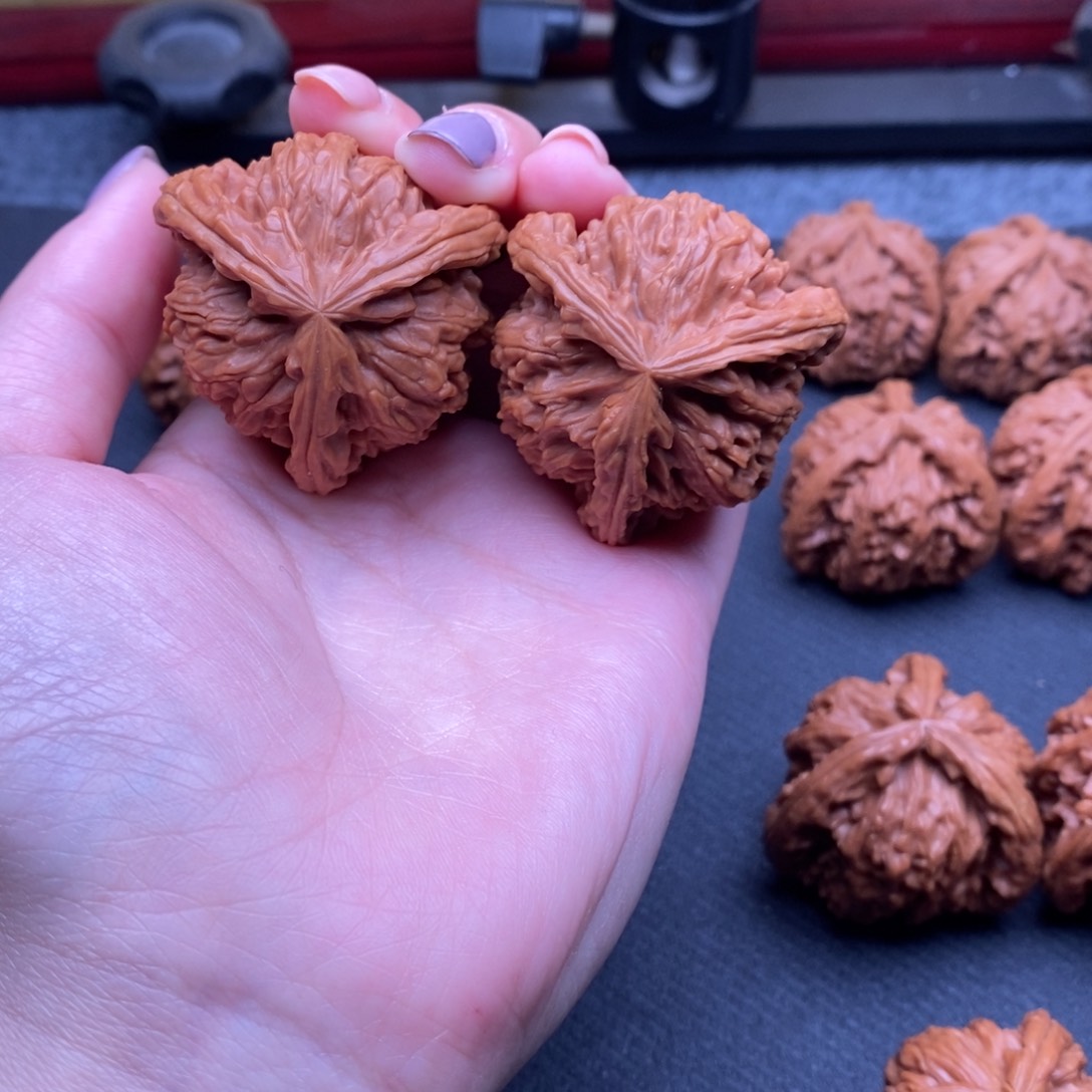 濋*禾白狮子11111111