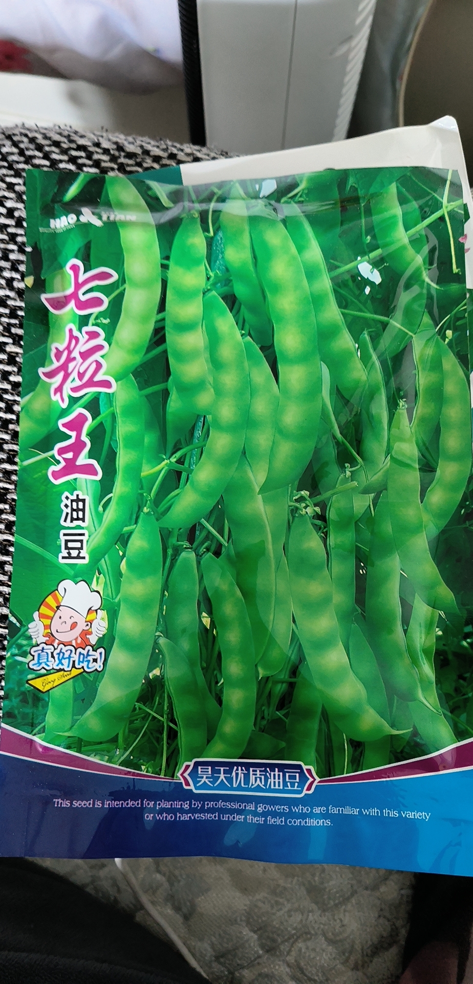 七粒王油豆角种子