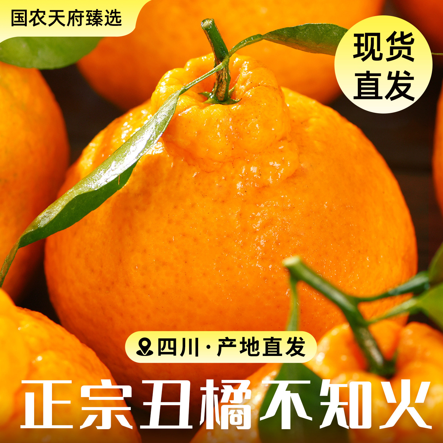 【国农天府臻选】 助农不知火丑橘  尝鲜福利2斤装新鲜现摘多汁爆甜