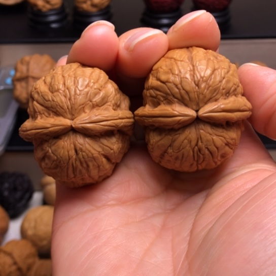 文玩核桃把件金龟玉甲11