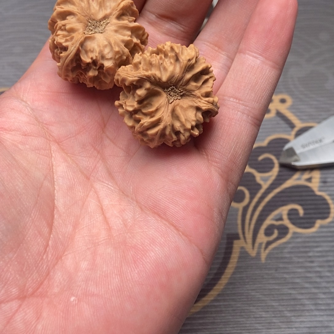 绘***安大叶紫檀（黑酸枝木类）