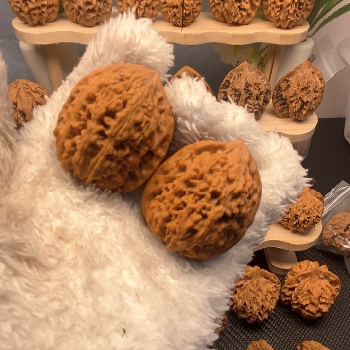 超****?秦岭野生虎头38尺