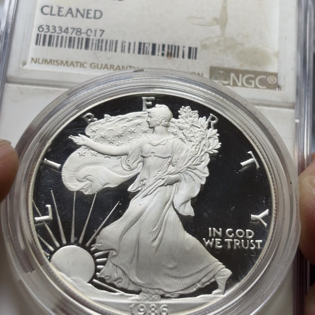 大***哥纯银美国行走女神银币