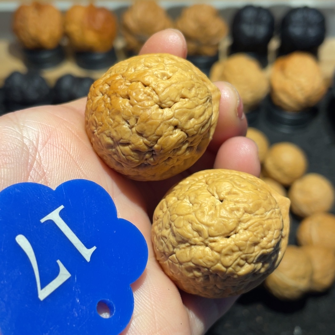 百花绣球核桃微彩32。