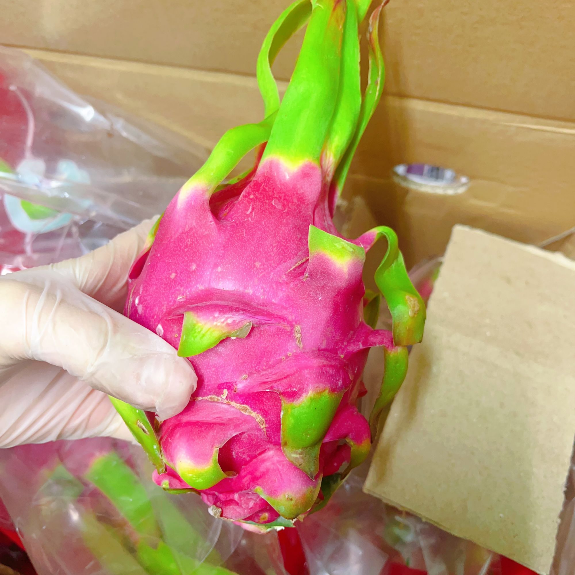 【红心】火龙果1000g