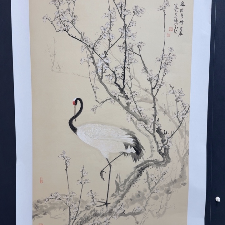 国画用****0我现在还在家