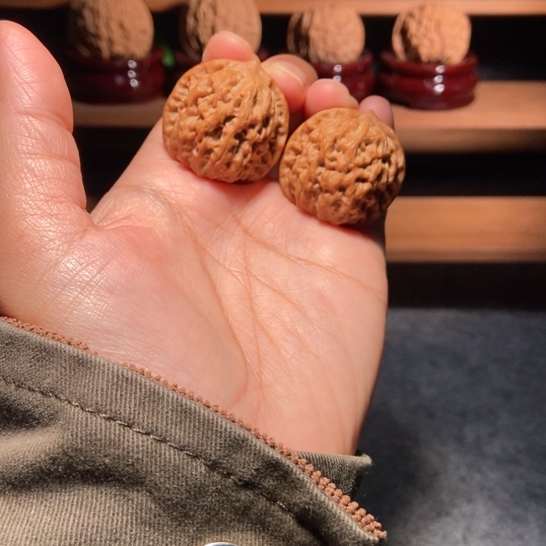 核桃其他龙珠全家福30