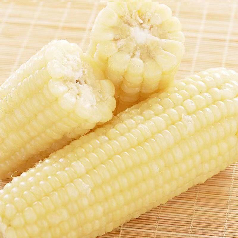 【试吃2棒】带箱5-6斤东北糯玉米白糯玉米真空包装黏糯玉米甜糯玉米