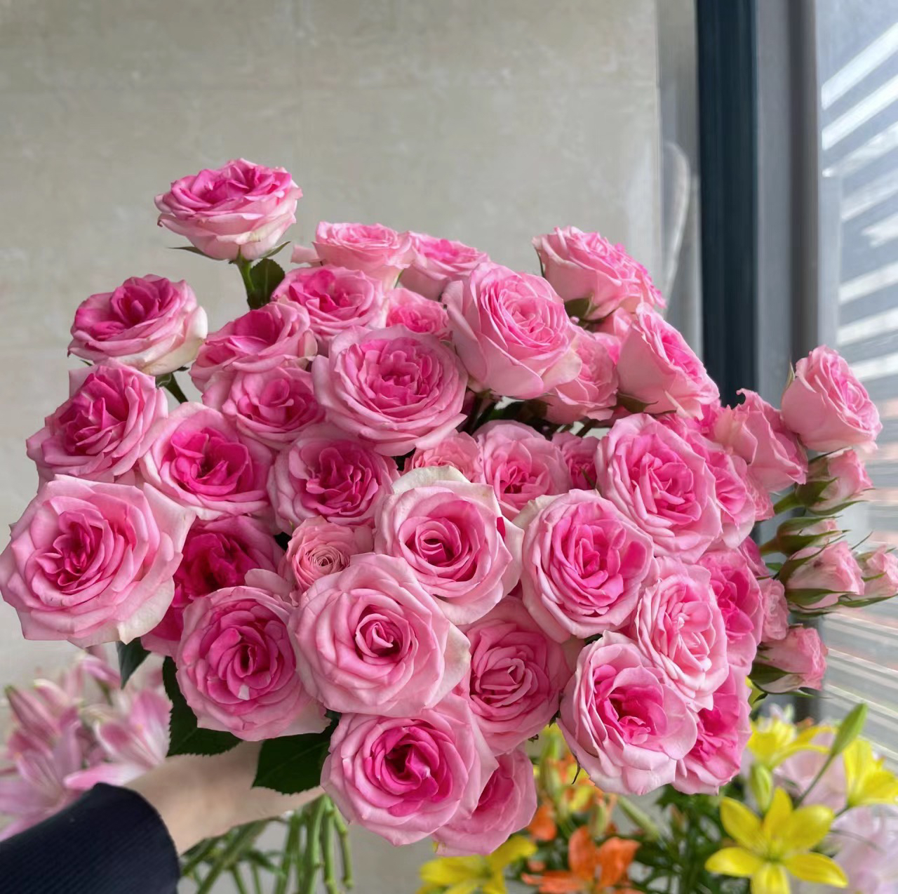 【花涧小樱】10支装  任意两单顺丰/京东已发货不支持退款