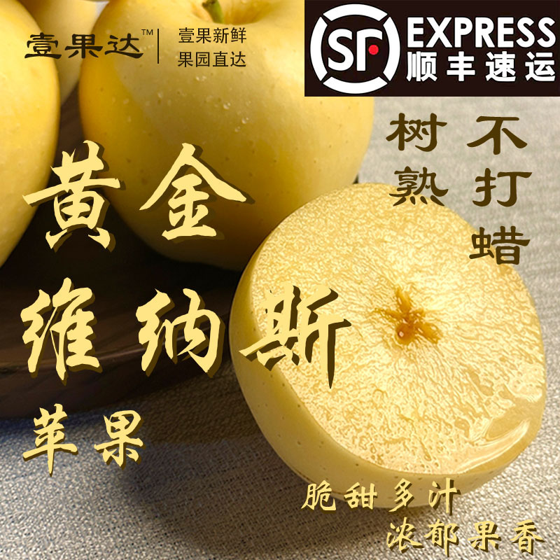 顺丰包邮绥中黄金维纳斯苹果脆甜多汁产地直发当季新鲜奶油苹果