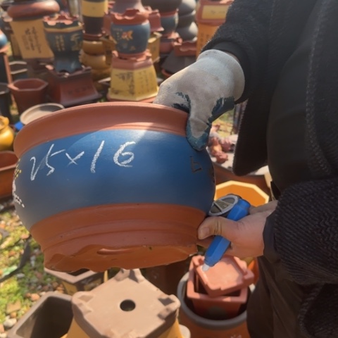 红陶紫砂花盆盆景盆栽