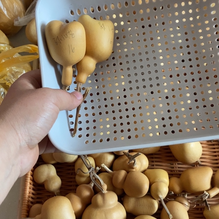 孙***喵孙小喵宝宝恭喜发财