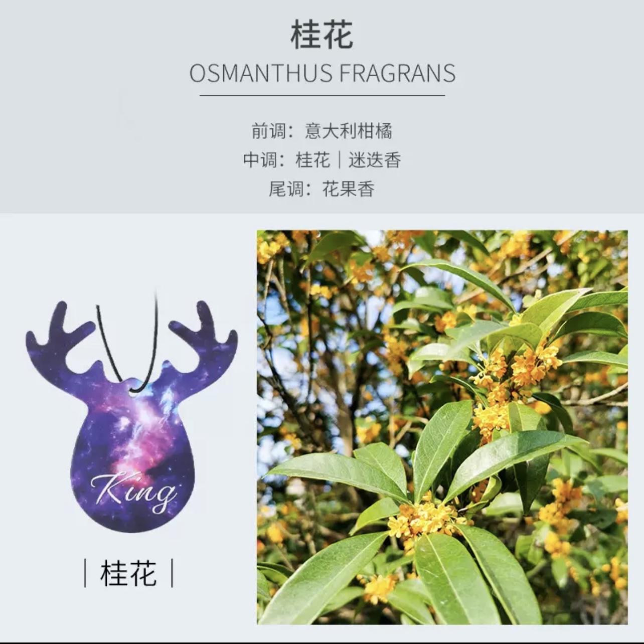 车载香片挂件