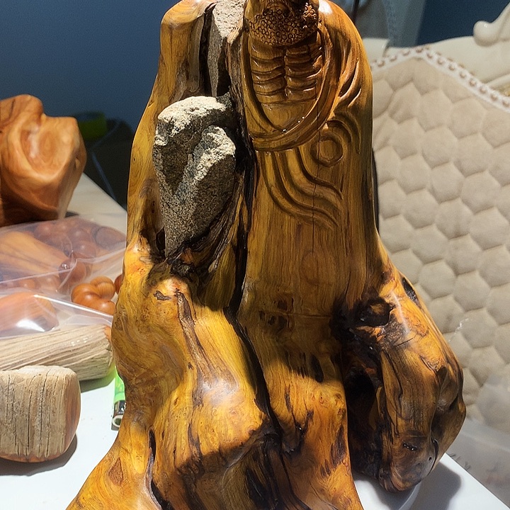 香榧木太行达摩吾到