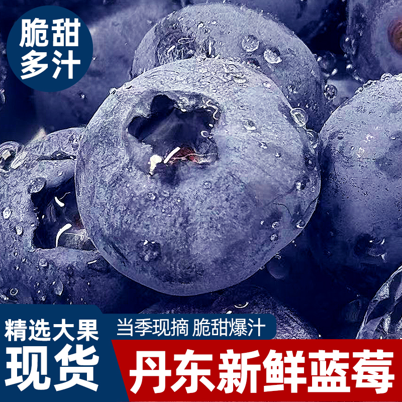 丹东新鲜蓝莓鲜果花香蓝莓当季水果现发孕妇水果整箱大果包邮