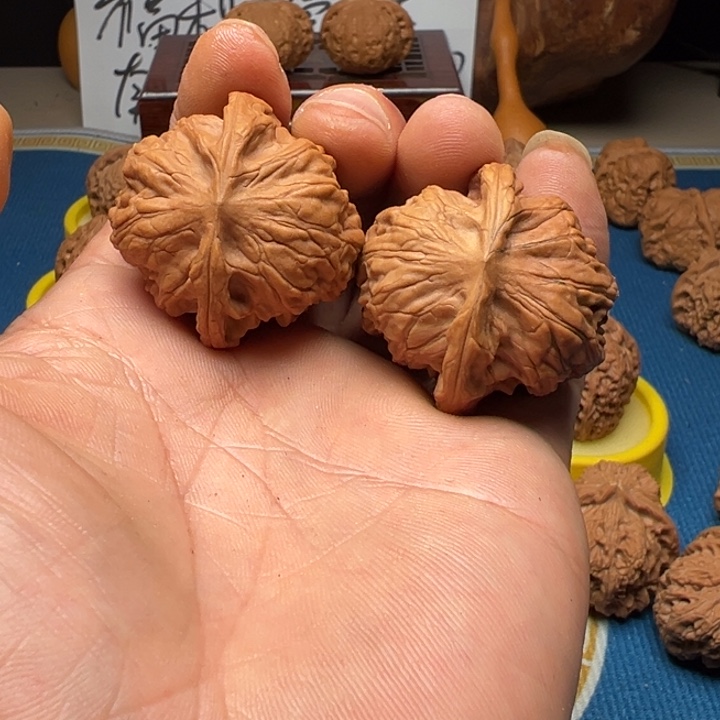 核桃野狼全品无修38尺