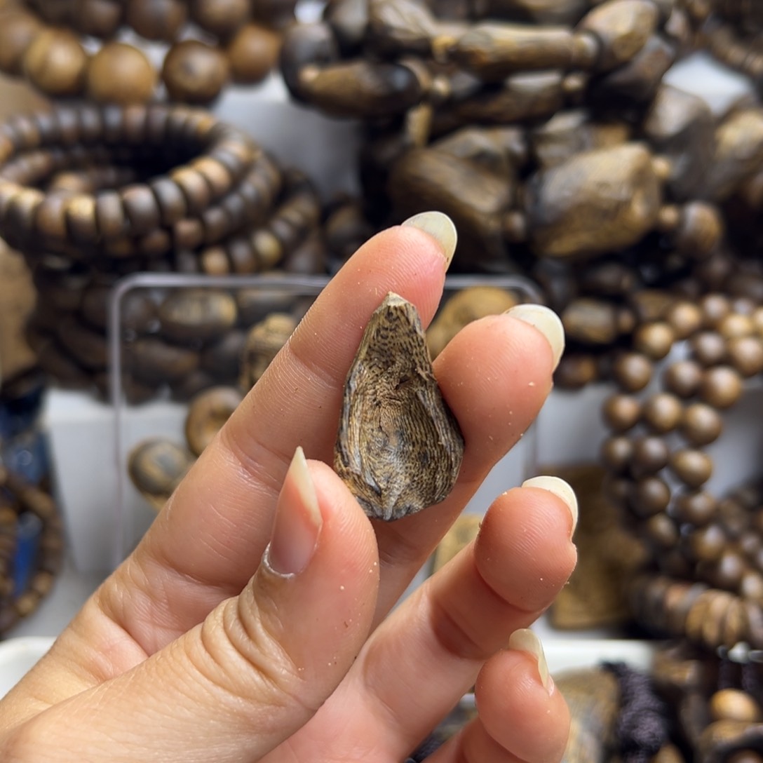 沉香沉香碎屑树丁